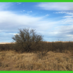 15.87-acres-in-cochise-az-1