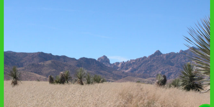 15.87-acres-in-cochise-az-3-1