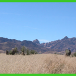 15.87-acres-in-cochise-az-3