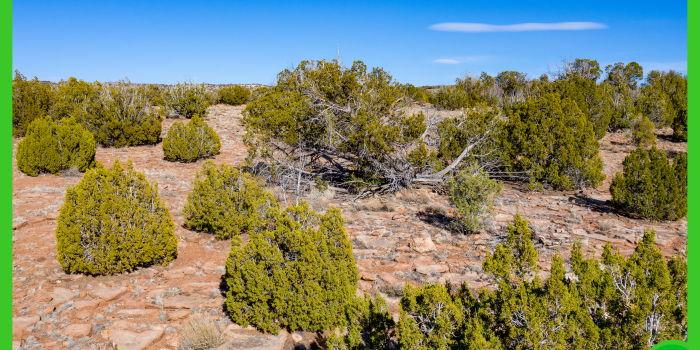 20-acres-apache-az-12