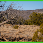 20-acres-apache-az-6